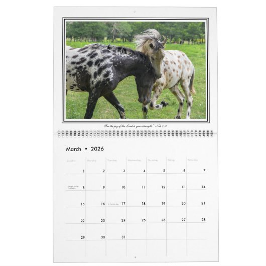 12-monatiger Pferdekalender mit den Bibel-Versen, Kalender (Mär 2026)