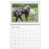 12-monatiger schöner Pferdekalender, groß Kalender (Mär 2027)