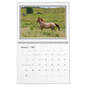 12-monatiger schöner Pferdekalender, groß Kalender (Feb 2027)