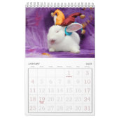 12-monatiger Sonnenkalender Kalender (Jan 2026)