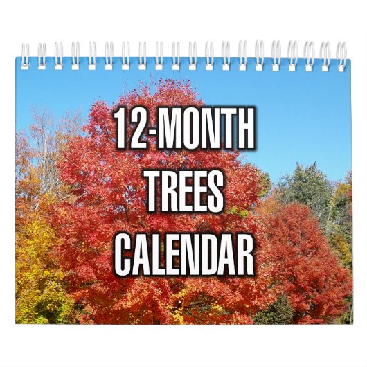 12-Monats-Bäume Kalender (Titelbild)