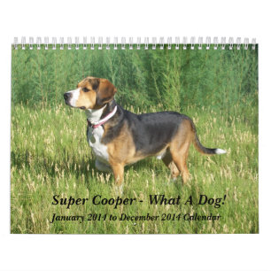 12 Monats-Beagle-Kalender - ein was für Hund! Kalender