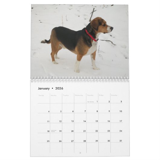 12 Monats-Beagle-Kalender - ein was für Hund! Kalender (Jan 2026)