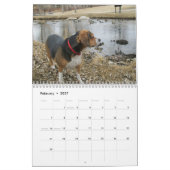 12 Monats-Beagle-Kalender - ein was für Hund! Kalender (Feb 2027)