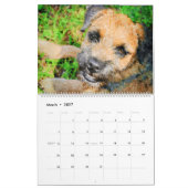 12 Monats-Grenzterrier-HundeWasserfarbe-Malen Kalender (Mär 2027)