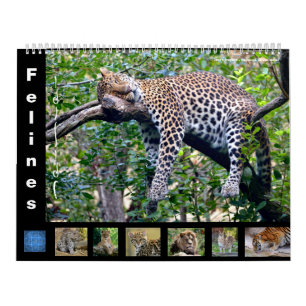 12-Monats-Kalender Kalender