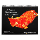 12-Monats-Kalender mit Fotos von Nudibranchs Kalender (Titelbild)