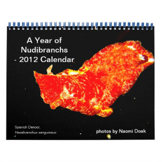 12-Monats-Kalender mit Fotos von Nudibranchs Kalender
