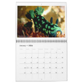 12-Monats-Kalender mit Fotos von Nudibranchs Kalender (Jan 2026)