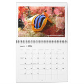12-Monats-Kalender mit Fotos von Nudibranchs Kalender (Mär 2026)