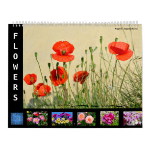 12-Monats-Kalender verschiedener Blume Kalender