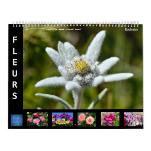 12-Monats-Kalender verschiedener Blume Kalender