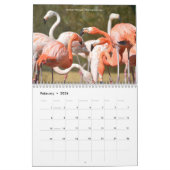12-Monats-Kalender verschiedener Vögel Kalender (Feb 2026)