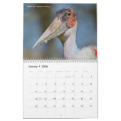 12-Monats-Kalender verschiedener Vögel Kalender (Jan 2026)