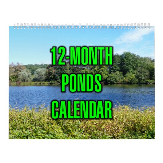 12-Monats-Teiche Kalender (Titelbild)