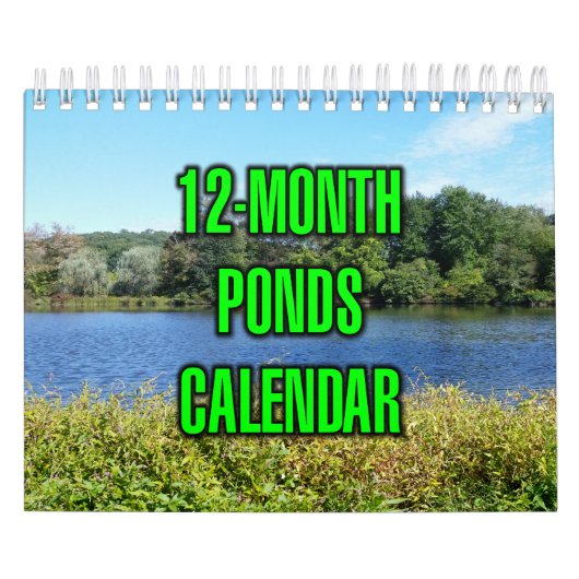 12-Monats-Teiche Kalender (Titelbild)