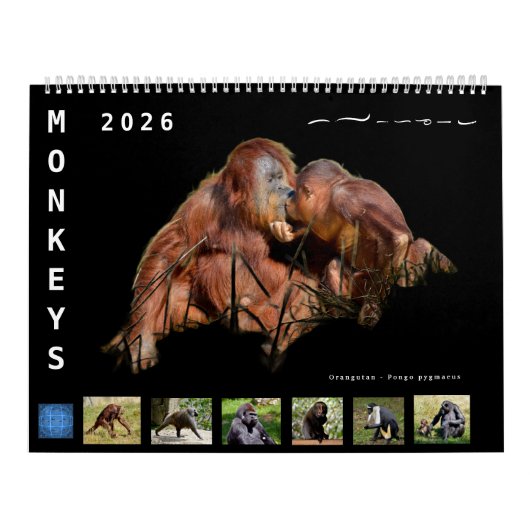 12 month calendar monkeys kalender (Titelbild)
