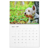 12 Month West Highland Terrier Dogs Westies Gesche Kalender (Mär 2027)