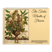 12 Months Of Flowers Baroque Rococo Botanical Art Kalender (Titelbild)