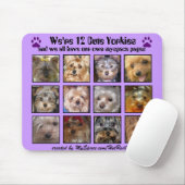 12 NIEDLICHE YORKIES - Mousepad besonders (Mit Mouse)