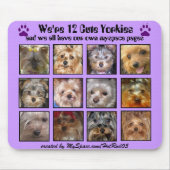 12 NIEDLICHE YORKIES - Mousepad besonders (Vorne)