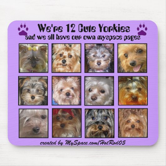 12 NIEDLICHE YORKIES - Mousepad besonders (Vorne)