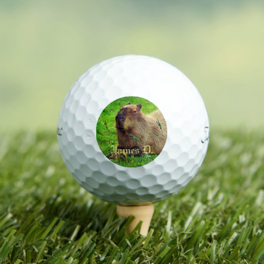 12 Pack- Spaß Personalisiert Capybara Tier Golfball (Insitu T-Shirt)