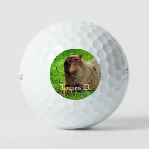 12 Pack- Spaß Personalisiert Capybara Tier Golfball