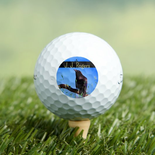 (12 Pack) Wildlife Raven Bird Personalisiert Golfball (Insitu T-Shirt)