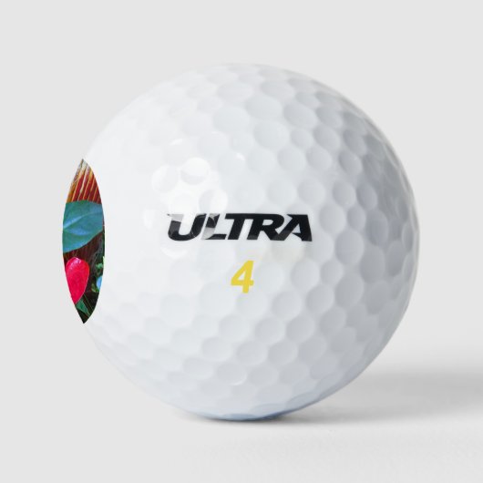 (12 Pack) Wilson Ultra 500 Distance Golf Ball (Logo)