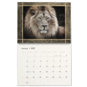 12 Schöne Löwen Foto Bilder Kalender (Jan 2027)