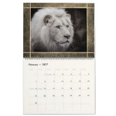 12 Schöne Löwen Foto Bilder Kalender (Feb 2027)