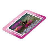 12 step motives magnet 26 butterflies (Linke Seite)