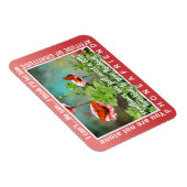 12 step thinking magnet 26 butterflies (Rechte Seite)