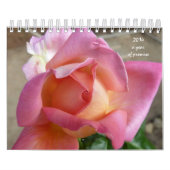 12 Stufenkalender Kalender (Titelbild)