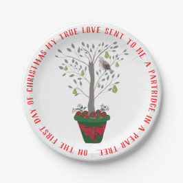 12 Tage des Weihnachtsrebhuhns in einem Pappteller