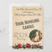 12 Tage Doggie Weihnachten 4 (Rückseite)