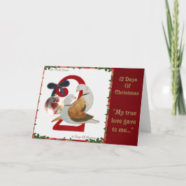 12 Tage Weihnachten zwei Schildkröte-Tauben