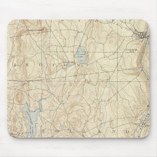 12 Tollandblatt Mousepad (Vorne)