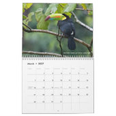 12 Vögel für 2017 (Titel geregelt) Kalender (Mär 2027)