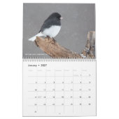 12 Vögel für 2017 (Titel geregelt) Kalender (Jan 2027)