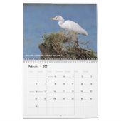 12 Vögel für 2017 (Titel geregelt) Kalender (Feb 2027)