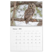 12 Vögel für ~ Tom-Dorn-Fotografie 2018 Kalender (Feb 2026)