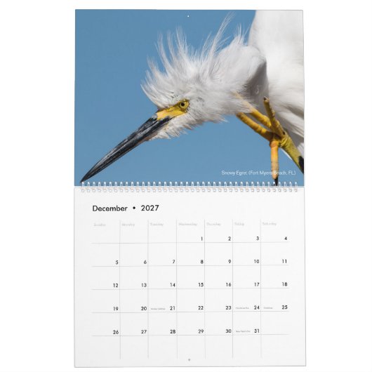 12 Vögel für ~ Tom-Dorn-Fotografie 2018 Kalender (Dez 2027)
