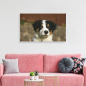 12 Wochen alter Border Collie Puppy-Headshot Leinwanddruck (Insitu (Wohnzimmer))