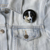 12 Wochen-alter Border-Collie-Welpe Button (Beispiel)