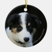 12 Wochen-alter Border-Collie-Welpe Keramikornament (Vorne)