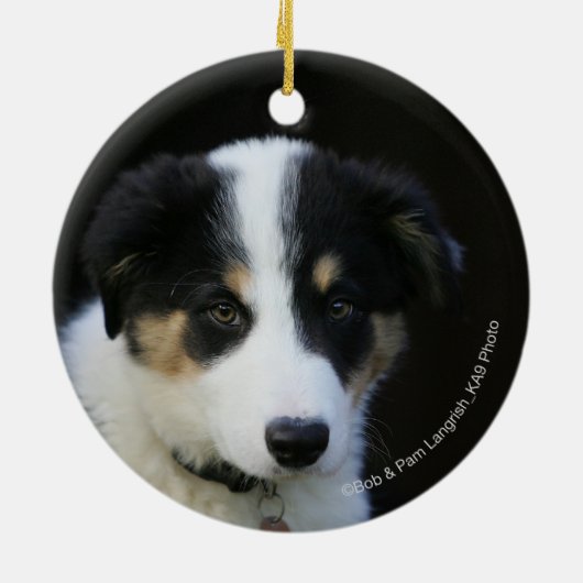 12 Wochen-alter Border-Collie-Welpe Keramikornament (Hinten)