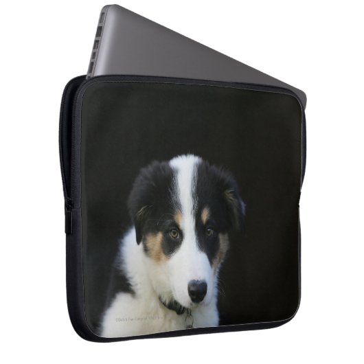 12 Wochen-alter Border-Collie-Welpe Laptopschutzhülle (Vorne Rechts)