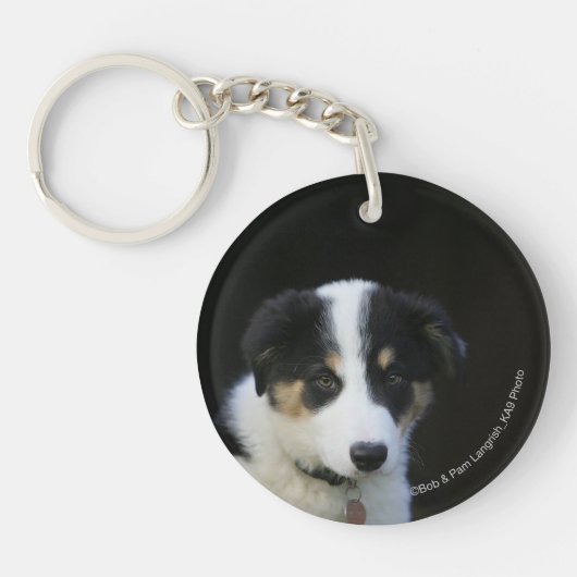 12 Wochen-alter Border-Collie-Welpe Schlüsselanhänger (Vorderseite)